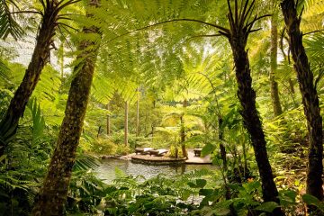 Couverture Spa de Beauté - Juillet-Août 2022