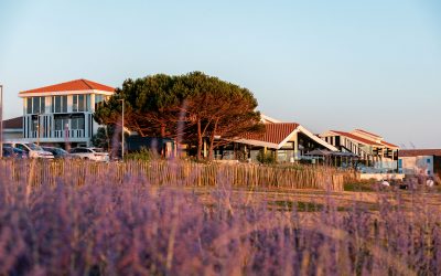 Hôtel & Spa La Grande Terrasse : comment le bien-être redessine le modèle hôtelier