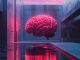 Pourquoi la tendance du Neurowellness est incontournable pour le spa ?