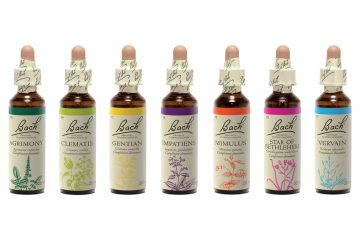 Nouveau design Fleurs de Bach
