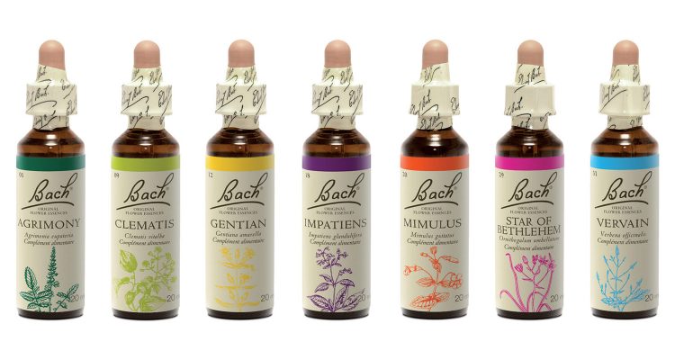 Nouveau design Fleurs de Bach