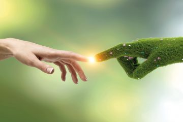 Je crée une marque de cosmétiques bio