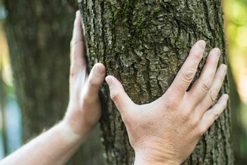 La nature, meilleure alliée de la santé