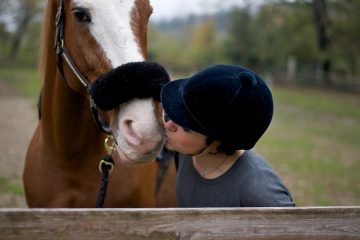 Equithérapie et équicoaching en Alsace