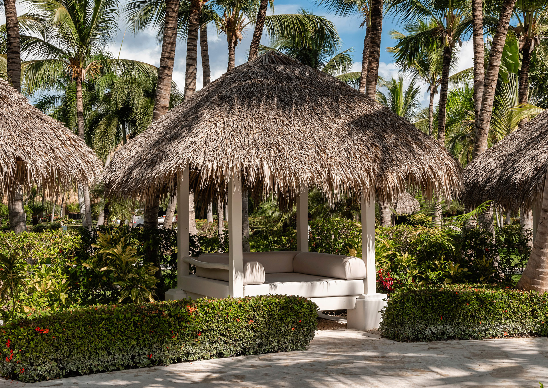 Une expérience unique à Punta Cana